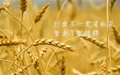 作文缺少情感该怎么改，如何写好作文立意